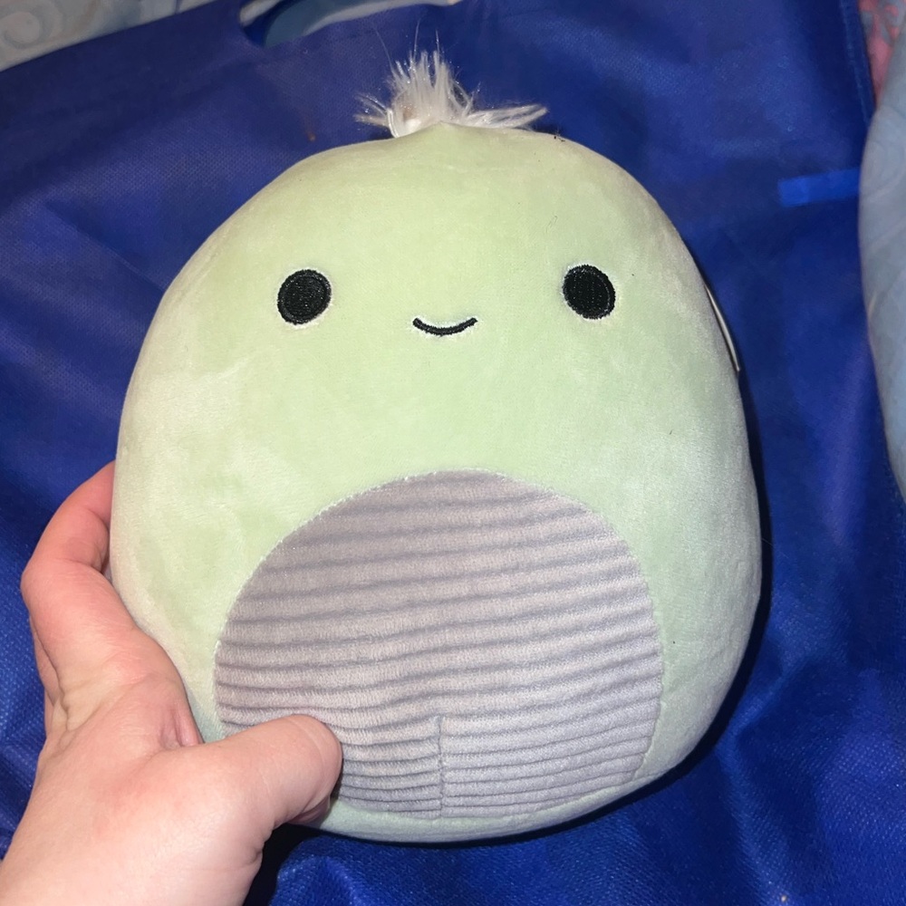 Herb the turtle squishmallow